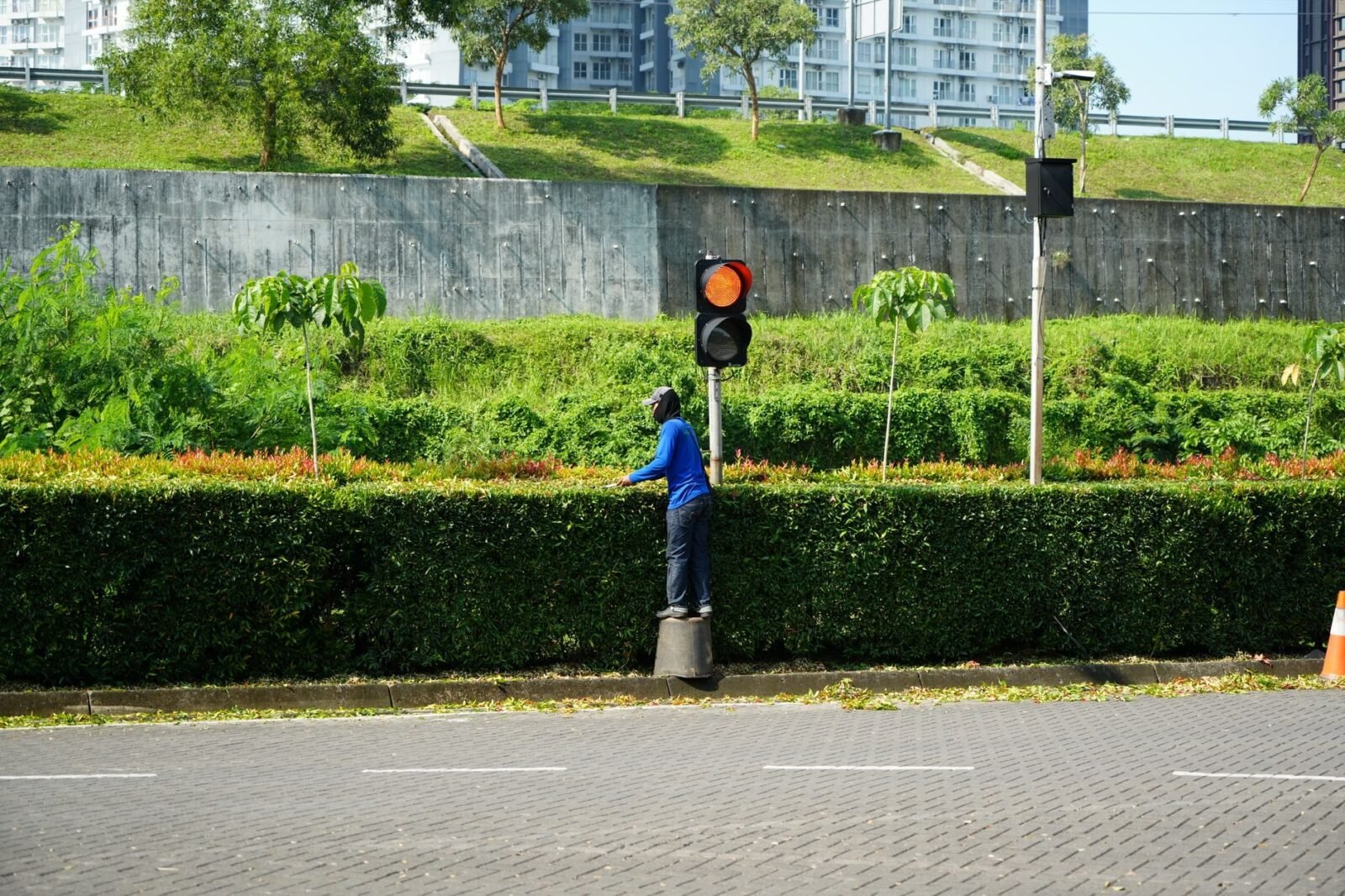 Heckenschnitt: Wann ist er erlaubt und was gilt rechtlich?