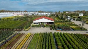 Gartenhaus für Blumenfreunde: Standort, Stauraum und B-Ware prüfen