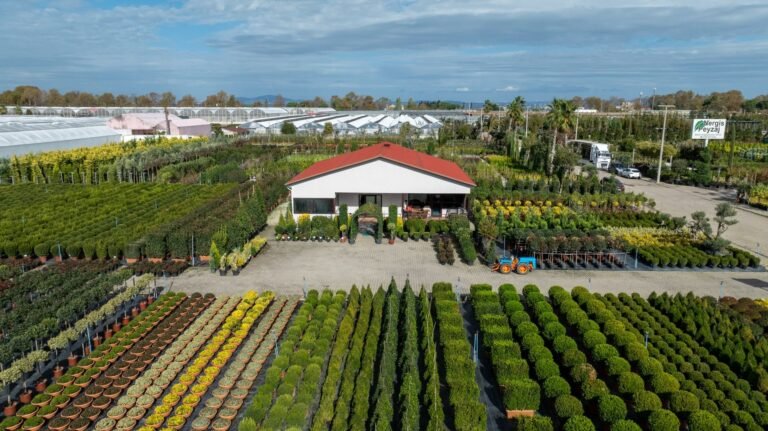 Gartenhaus für Blumenfreunde: Standort, Stauraum und B-Ware prüfen