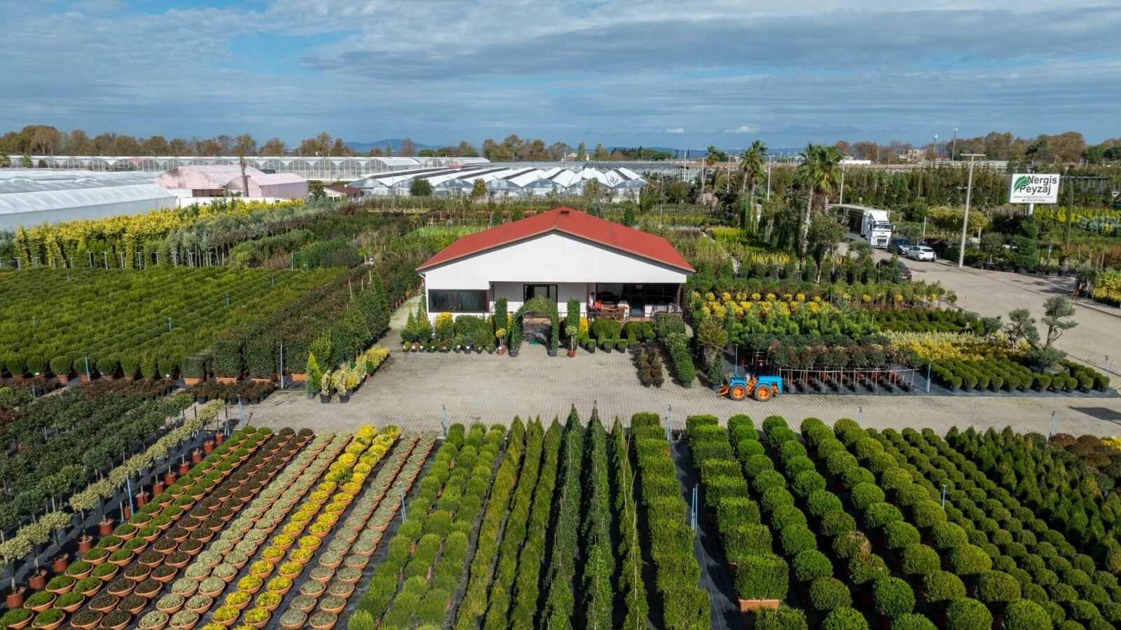 Gartenhaus für Blumenfreunde: Standort, Stauraum und B-Ware prüfen
